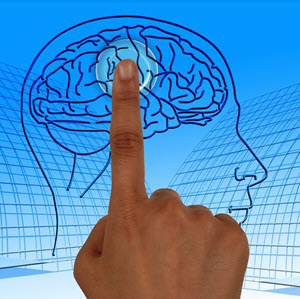 The Brain Booster